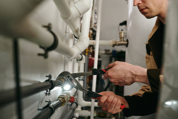 Best Clogged Drain Plumber  in Shenandoah Heights, PA