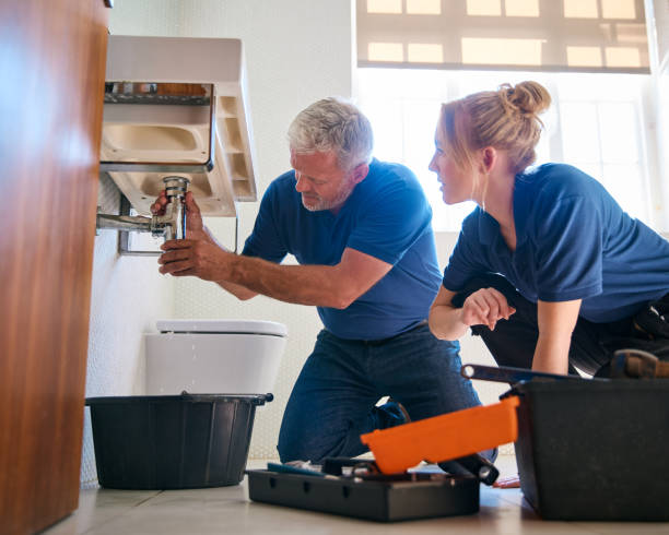 Best Sprinkler Systems  in Shenandoah Heights, PA